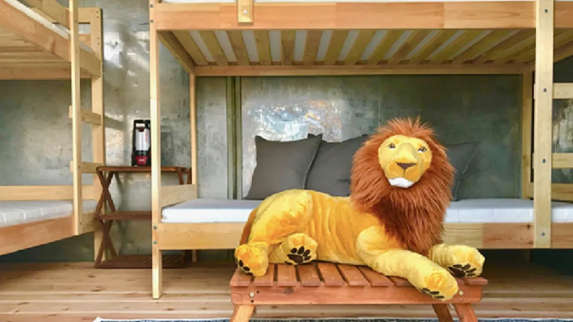 シェルター・ブラック