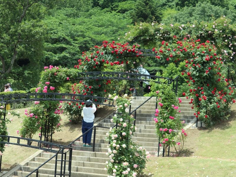 いばらきフラワーパーク【施設外】