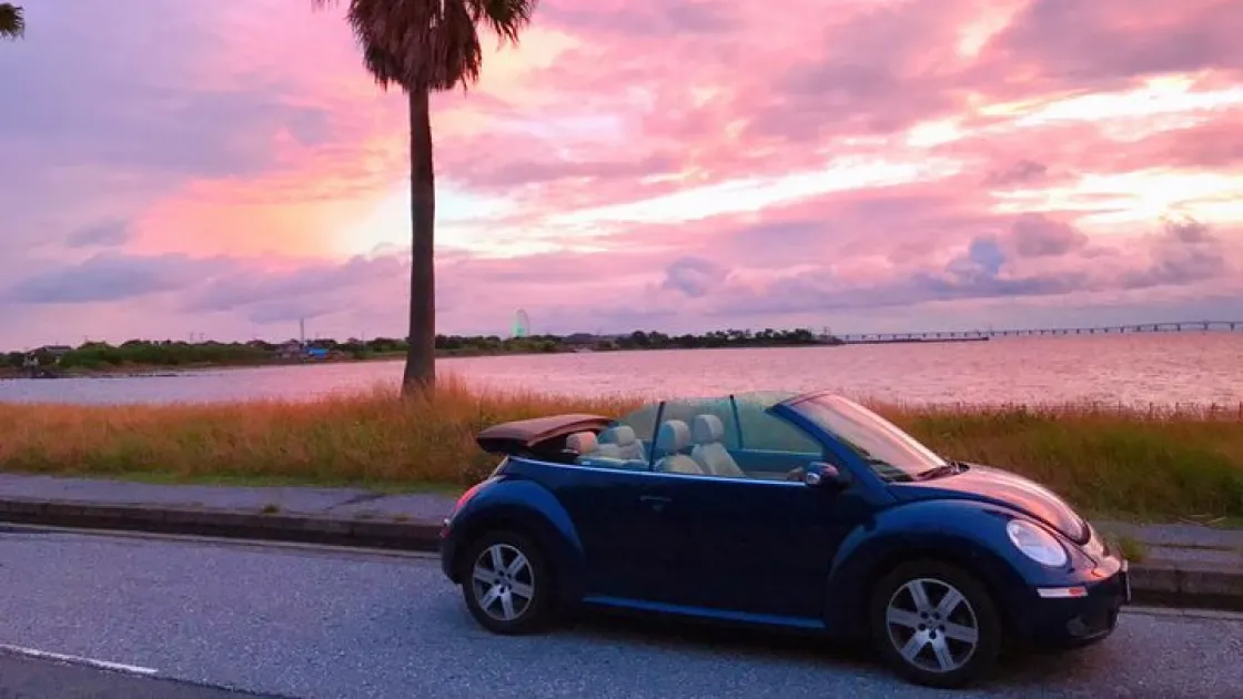 千葉フォルニア