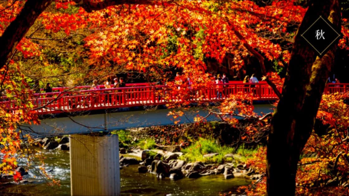 待月橋【施設外】