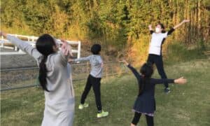 COLZA Farm stay Stable CAMP 4
