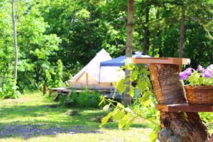 ニセココテージボンゴ広場 - Image 1