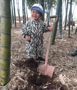 COLZA Farm stay Stable CAMP 3