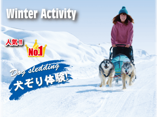 犬ぞり【施設内】