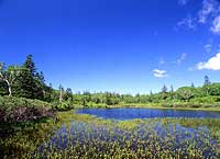 神仙沼【施設外】