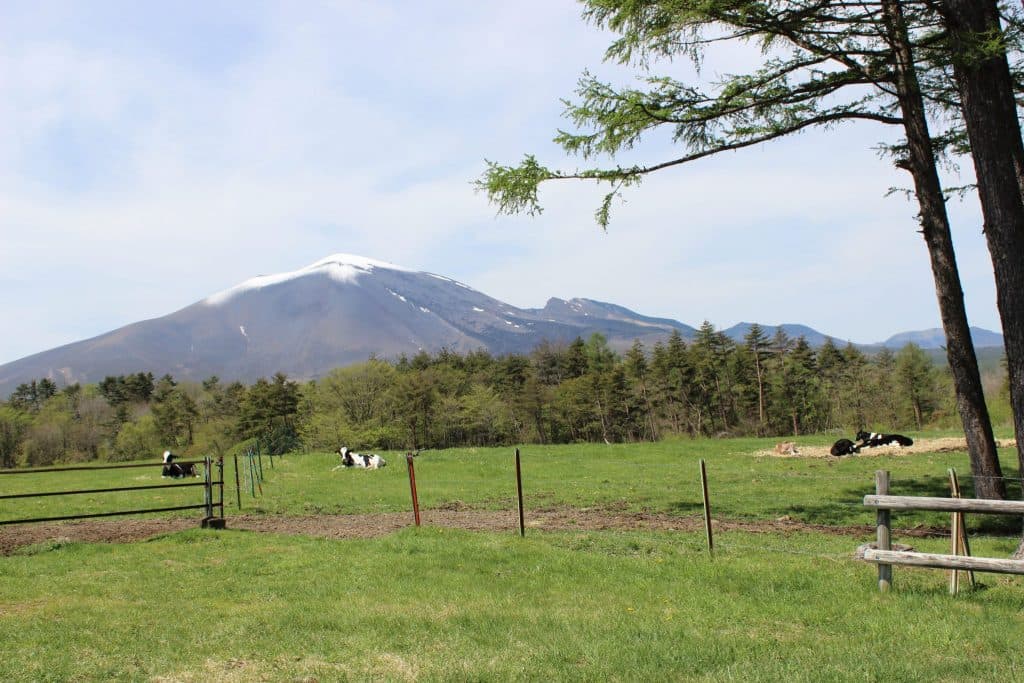 浅間牧場(施設外)