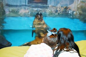 ノースサファリサッポロ - Image 4