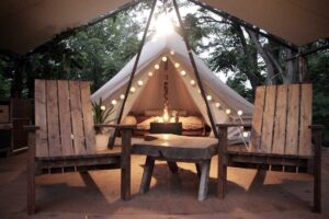 ニセココテージボンゴ広場 - Image 4