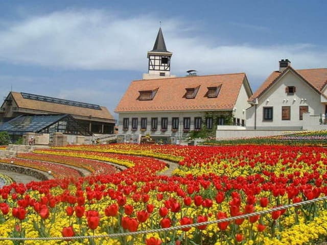 ハイジの村(施設外)
