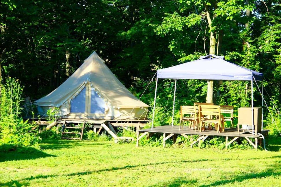 ニセココテージボンゴ広場