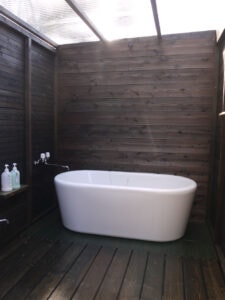 PAWS GROUND(パウズグラウンド) - Image 5