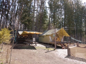 PAWS GROUND(パウズグラウンド) - Image 1