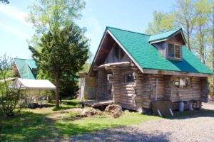 ニセココテージボンゴ広場 - Image 2