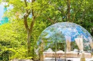 TOWAピュアコテージ - Slide 3