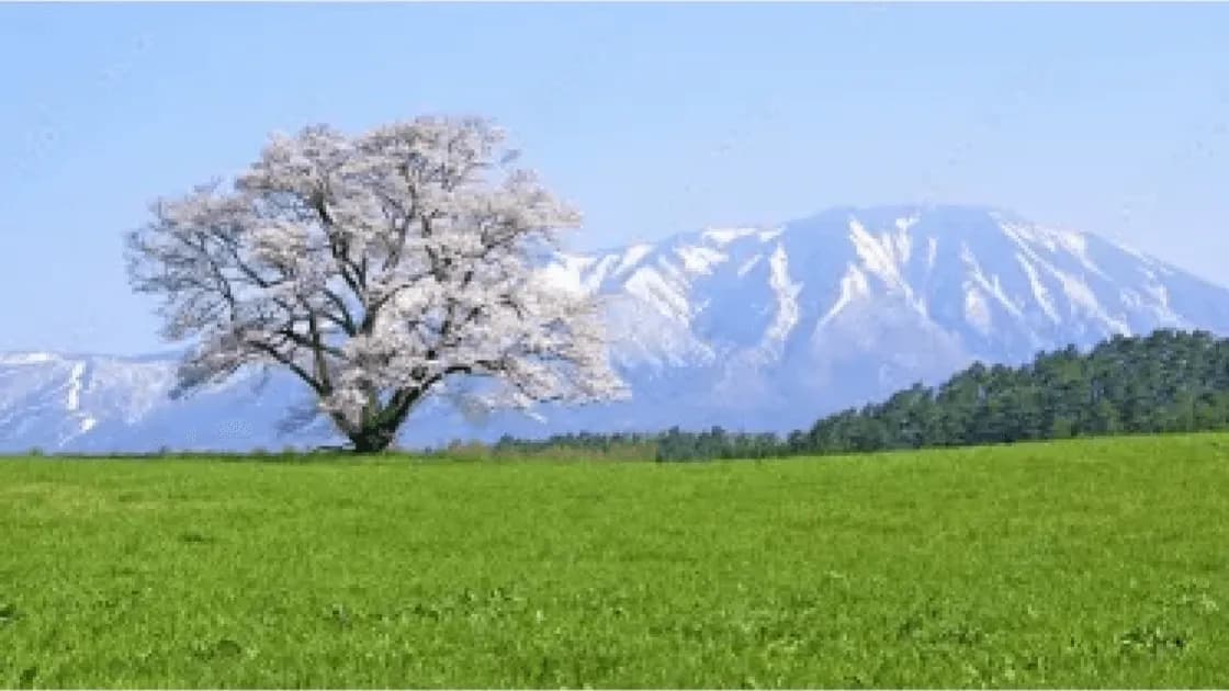 小岩井農場