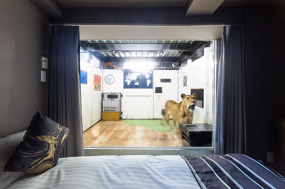 ライオンコテージ