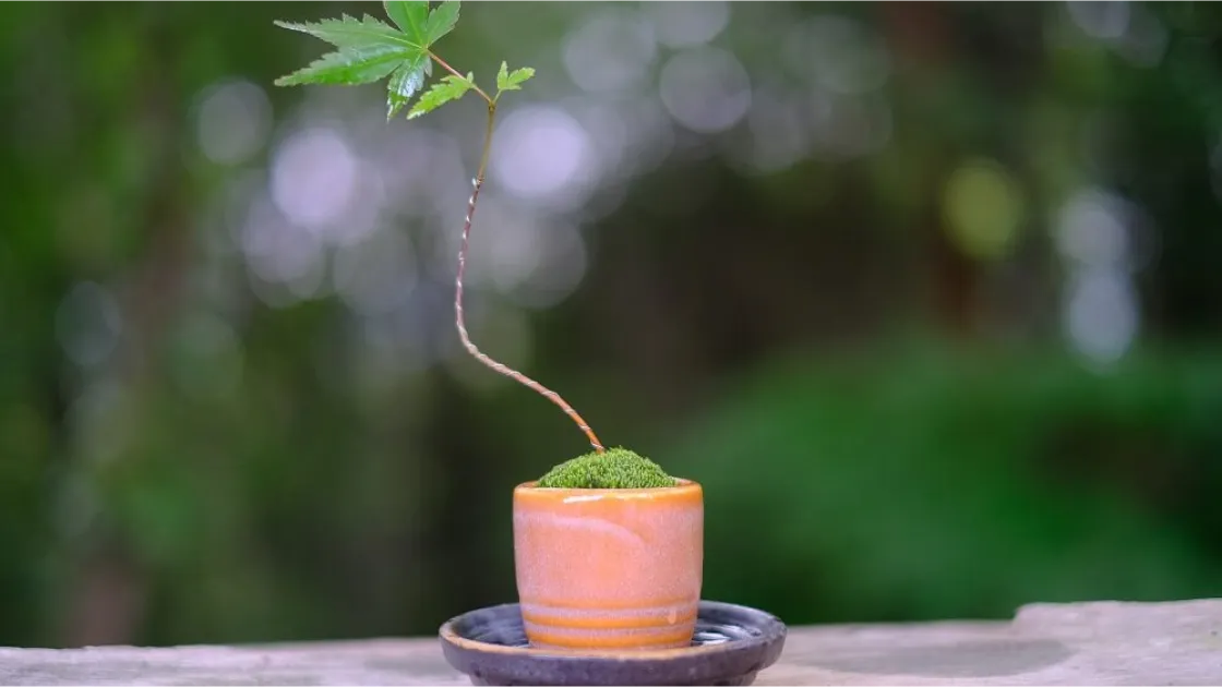 ものづくり体験