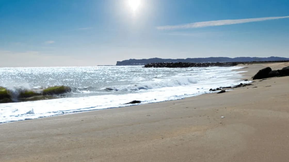 海まで徒歩1分!