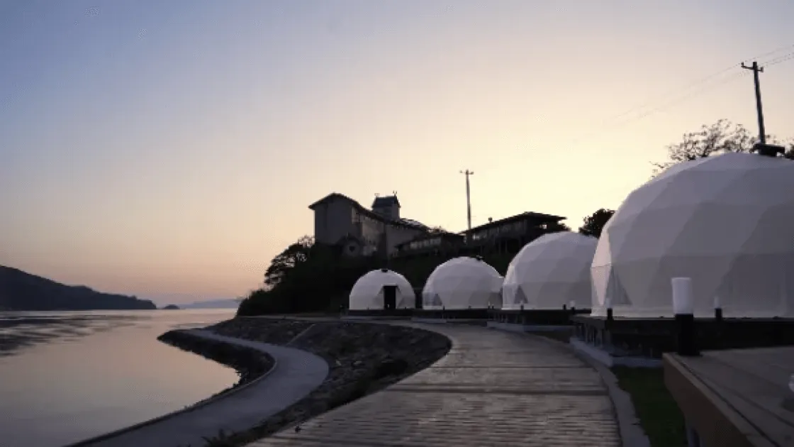 海士グラピング TADAYOI