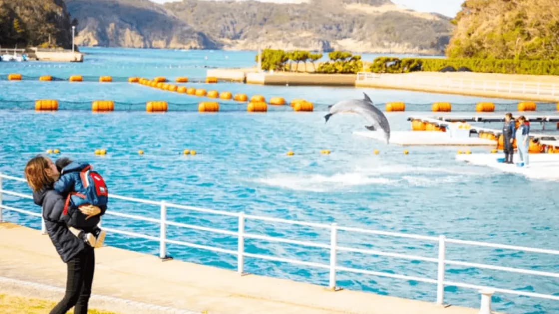 壱岐イルカパーク&リゾート