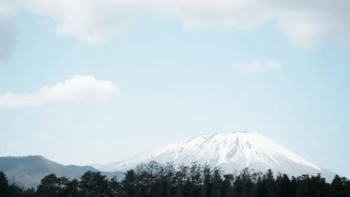 涼しく快適なロケーション