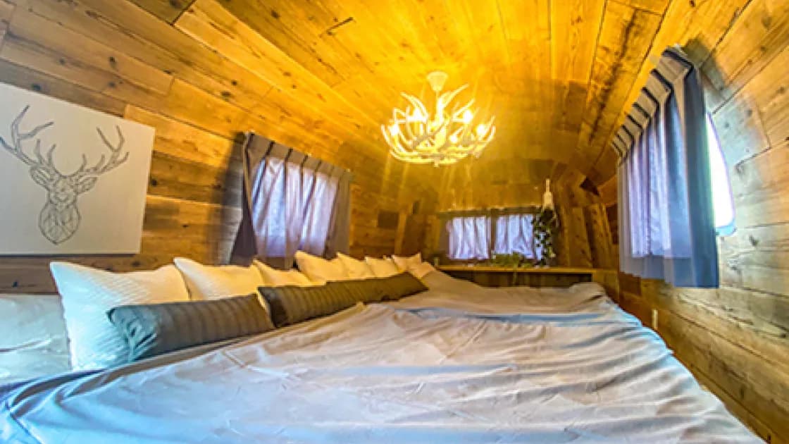 エアストリーム・アイビー