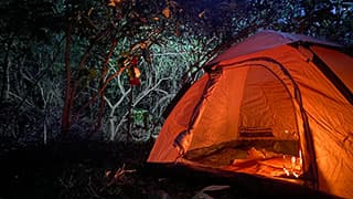 Nature Healing Lounge THE OUT – スターダストヒルトップ