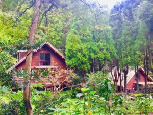 Nakadaki Art Village(中滝アートビレッジ) - Image 3