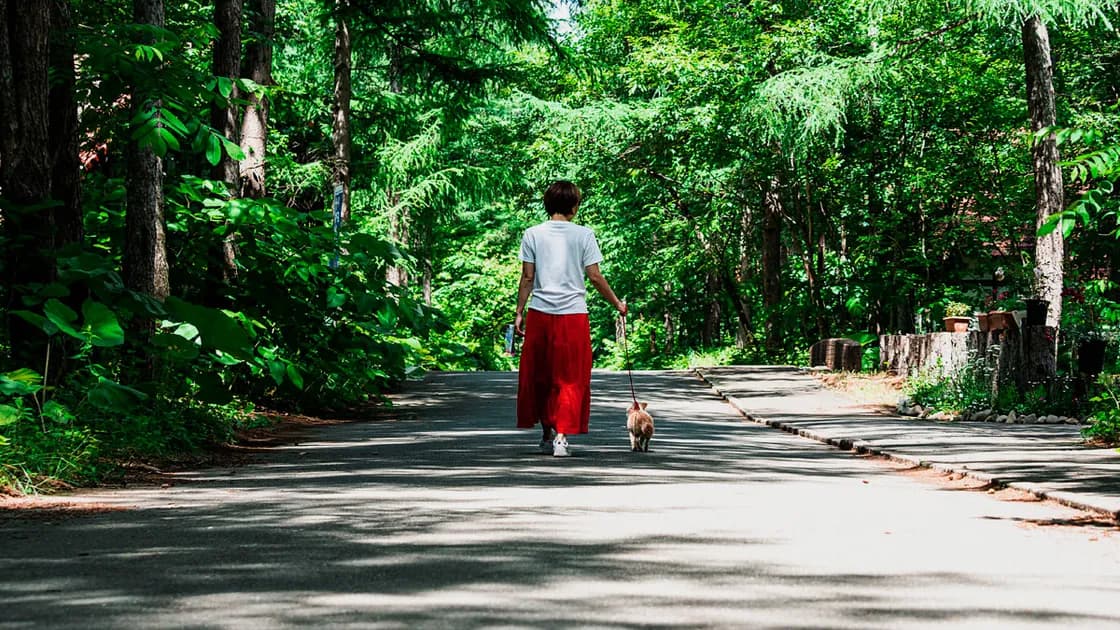 Feriendorf(フェーリエンドルフ) 1