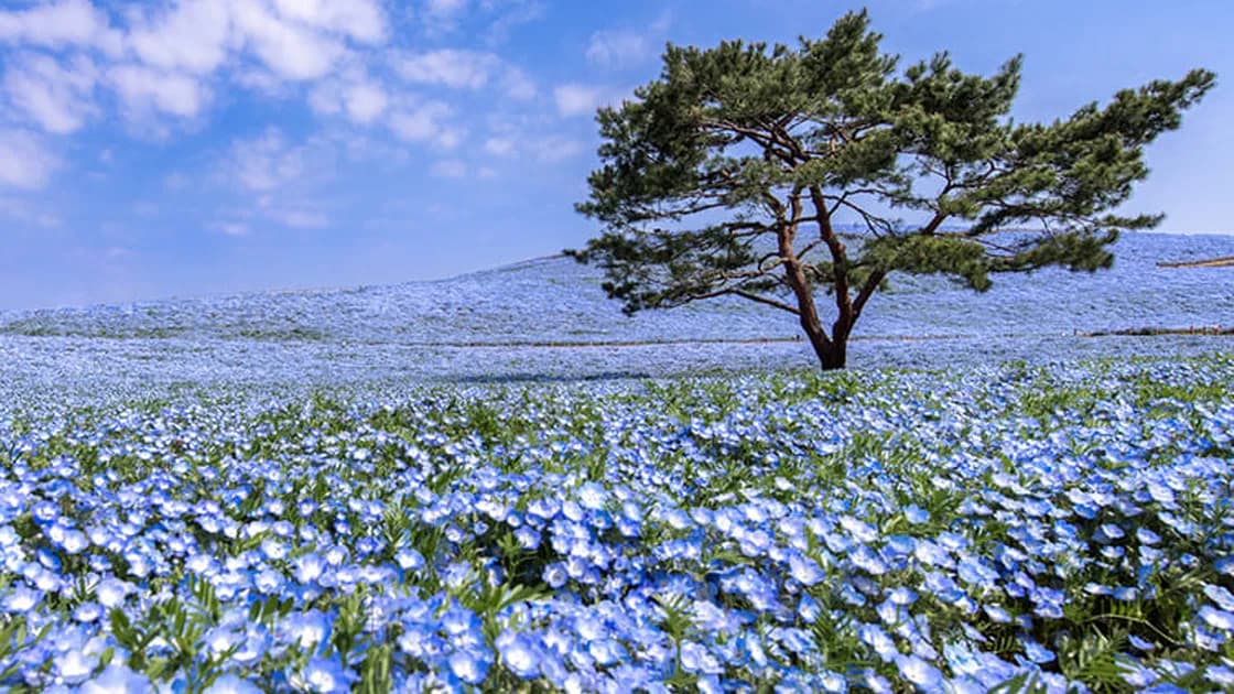 静ヒルズホテル 3