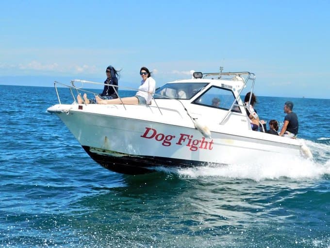 ドッグファイト関空 マリンショップ【施設外】