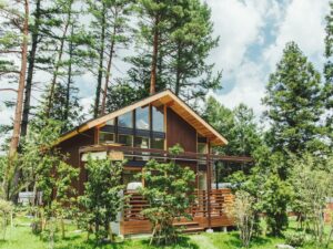 PICA Fujiyama - Image 5