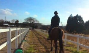 COLZA Farm stay Stable CAMP 0
