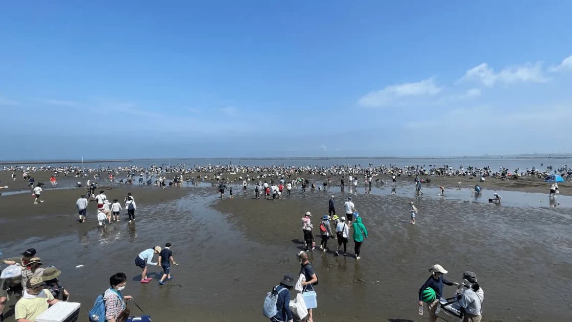 富津海岸潮干狩場