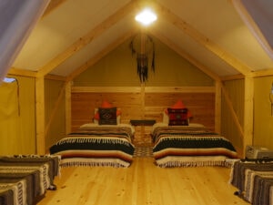 PAWS GROUND(パウズグラウンド) - Image 2