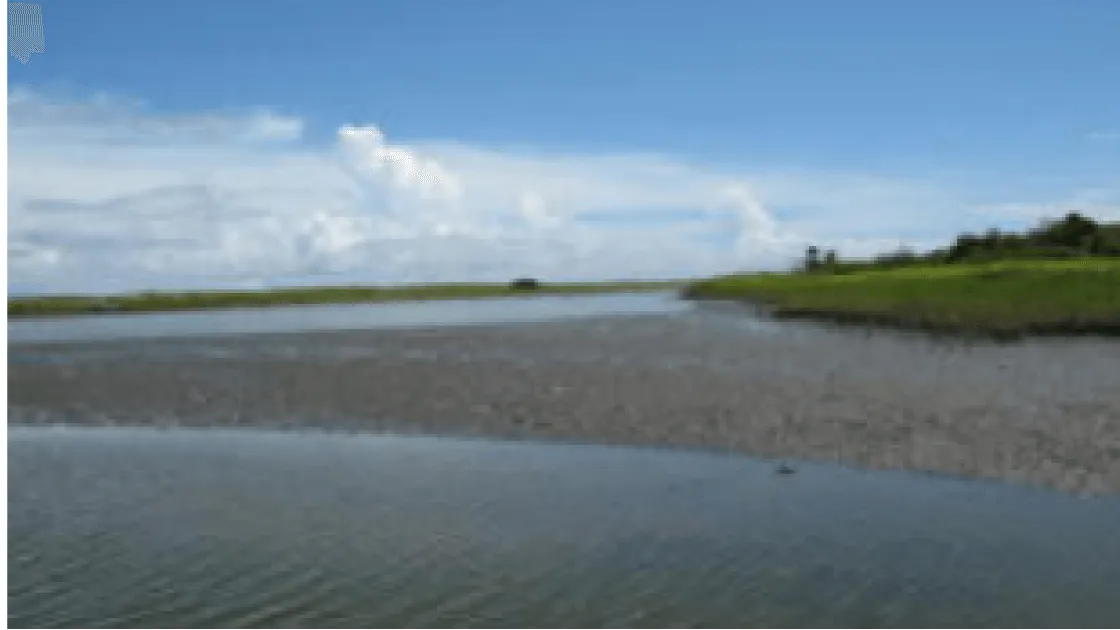 夷隅川河口干潟