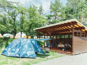 PICA Fujiyama - Image 4