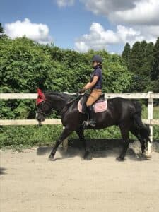 COLZA Farm stay Stable CAMP 1