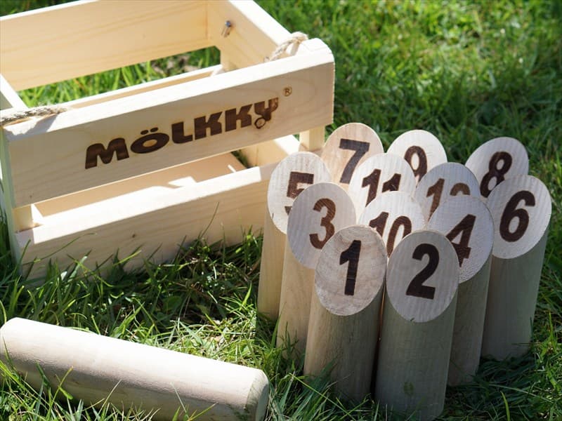 モルック大会 ~BIG Fujiyama Cup~