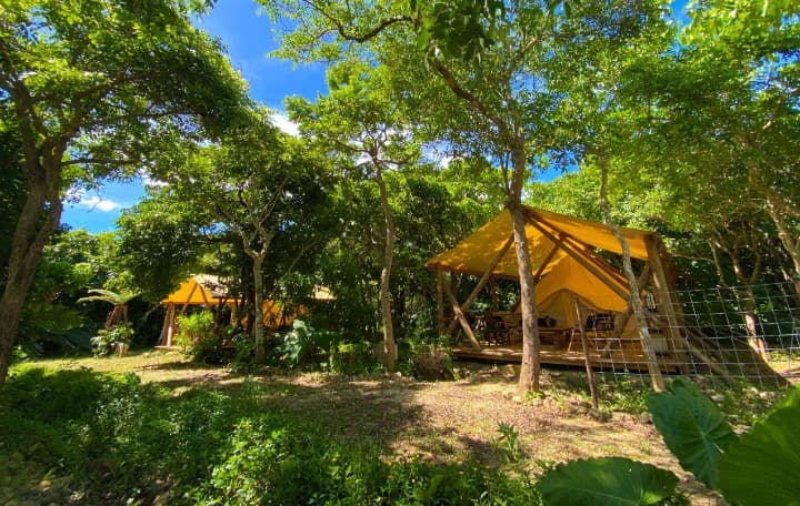 Rainbow Forest(レインボーフォレスト)