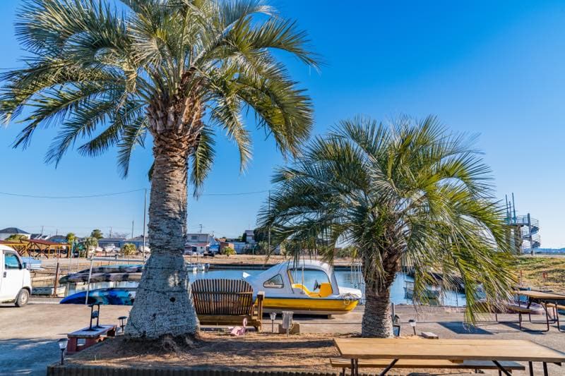 スワンボート(施設内)