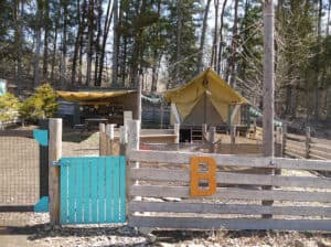 TENT B(1日1組限定・プライベートドッグラン付き)