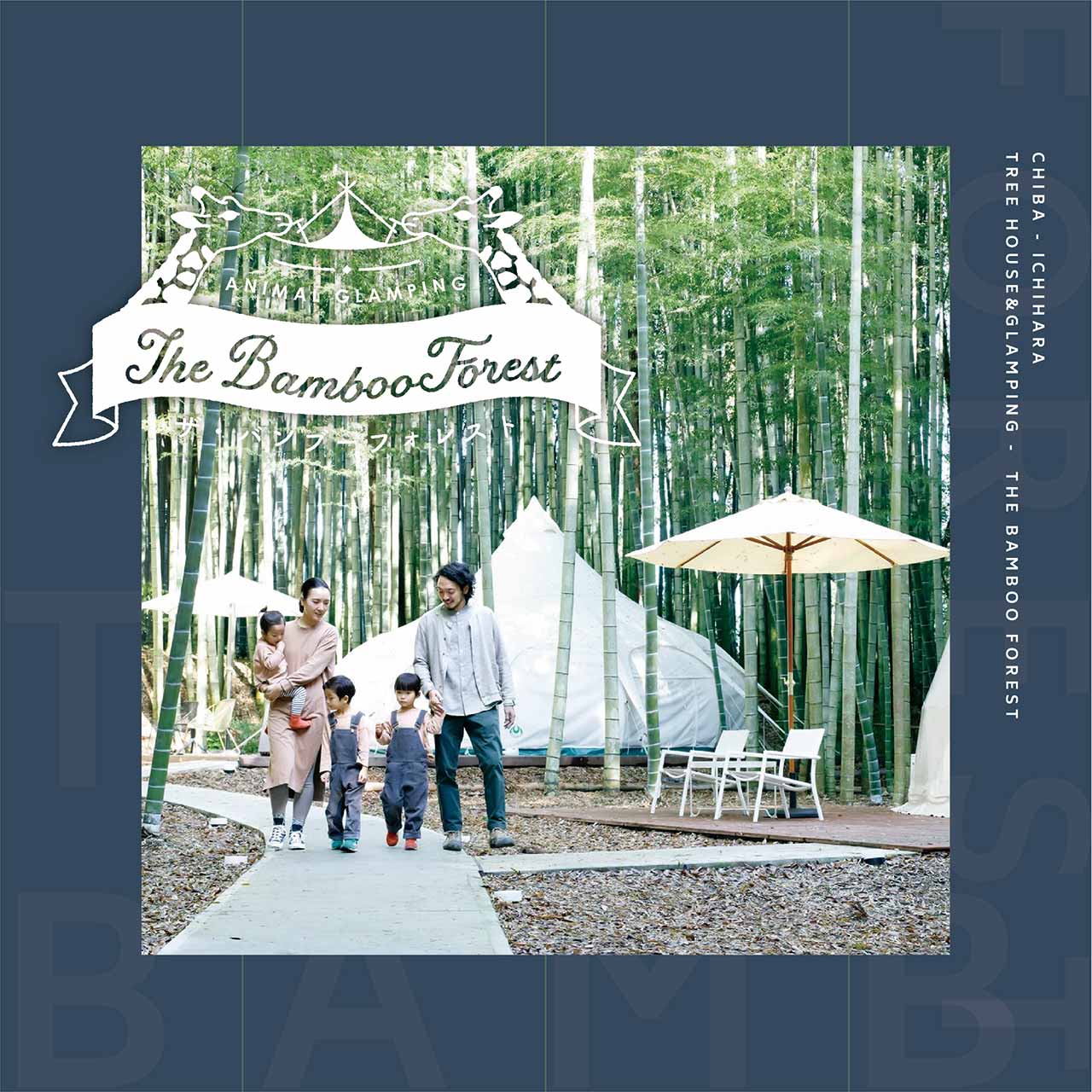 THE BAMBOO FOREST / ザ・バンブーフォレスト